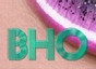 BHO Consultorios
