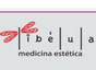 Libélula
