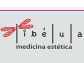 Libélula