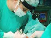 Dra. Cotto Perroni, Adriana Natalia