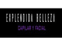 Explendida Belleza Capilar Y Facial