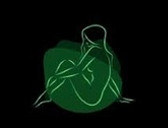 Estética Nueva Córdoba