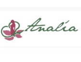 Centro Analia