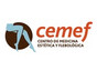 Cemef
