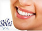 Selei