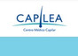Capilea