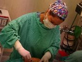 Dra. Lucia C. Rodriguez