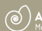 Aguiar Marco Medicina Estetica
