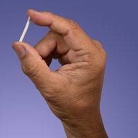 Conocé más sobre el chip sexual