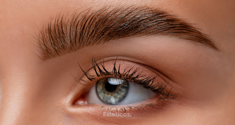 ¿Cuánto dura el microblading y cómo mantenerlo por más tiempo?