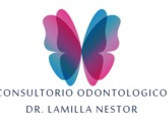 Dr. Lamilla Nestor