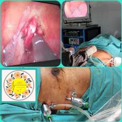 Dr. Javier Nicolía - Centro Médico Palmares