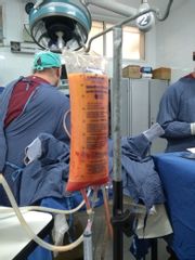 Dr. Jose Luis Moretti