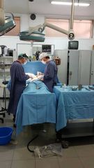 Dr. Jose Luis Moretti