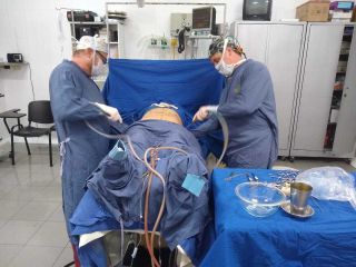 Dr. Jose Luis Moretti