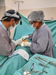 Dr. Diego Cunille