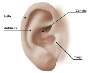 Cómo es la operación